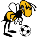 Harrington Park Hornets 120x120-min